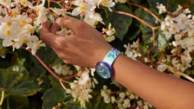 Mariposa brillante