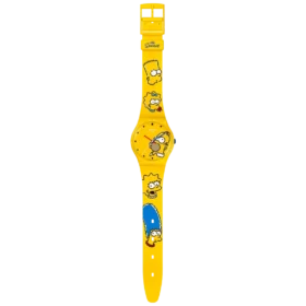 The Simpson Family Maxi